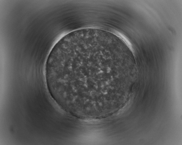 X0000116790907200912311914