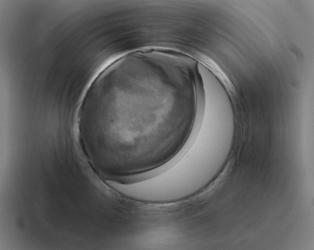 X0000116790908200912311914