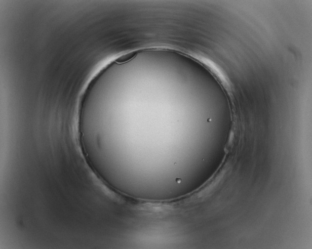 X0000116790910200912311914