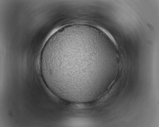 X0000116790911200912311914