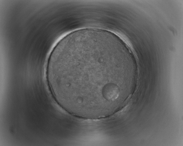 X0000116790912200912311914