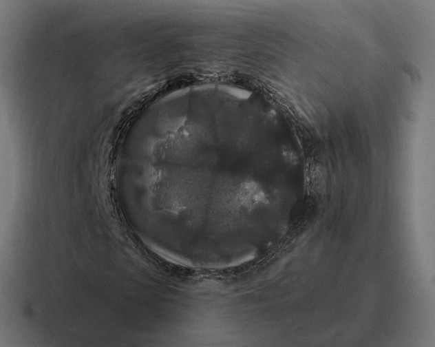 X0000116790913200912311914