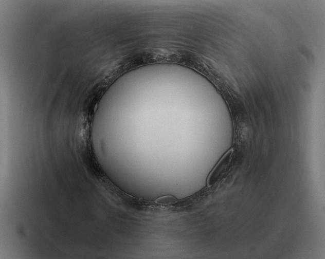 X0000116790914200912311914