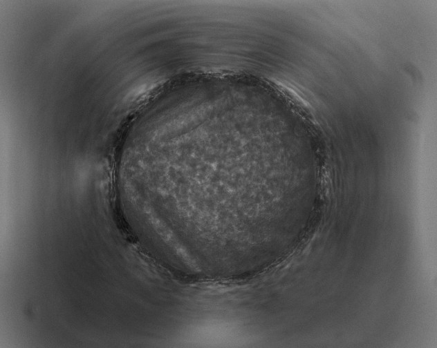 X0000116790917200912311914