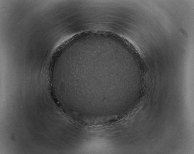 X0000116790919200912311914