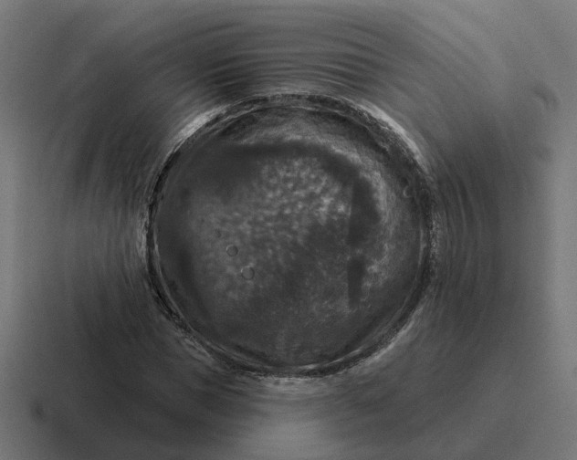 X0000116790921200912311914