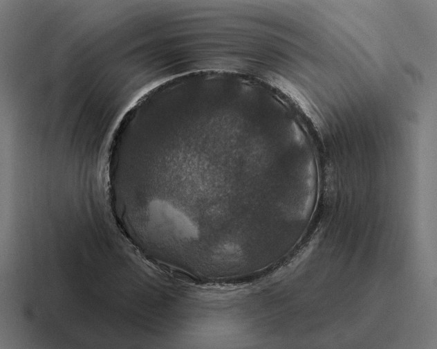 X0000116790923200912311914