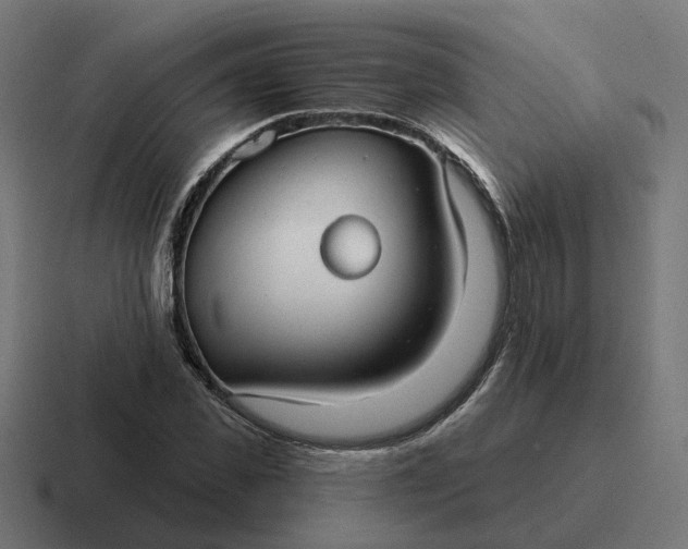 X0000116790925200912311914