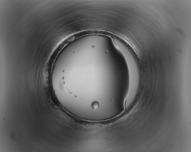 X0000116790926200912311914