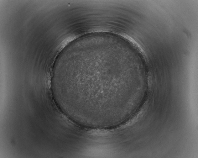 X0000116790929200912311914