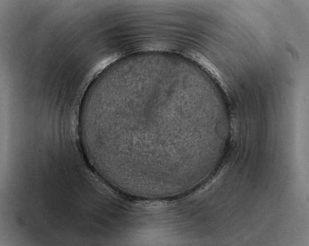 X0000116790930200912311914