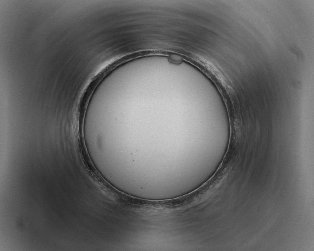 X0000116790931200912311914