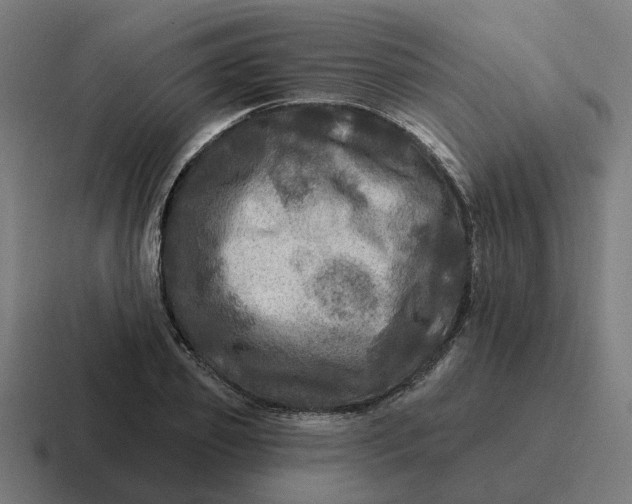 X0000116790933200912311914