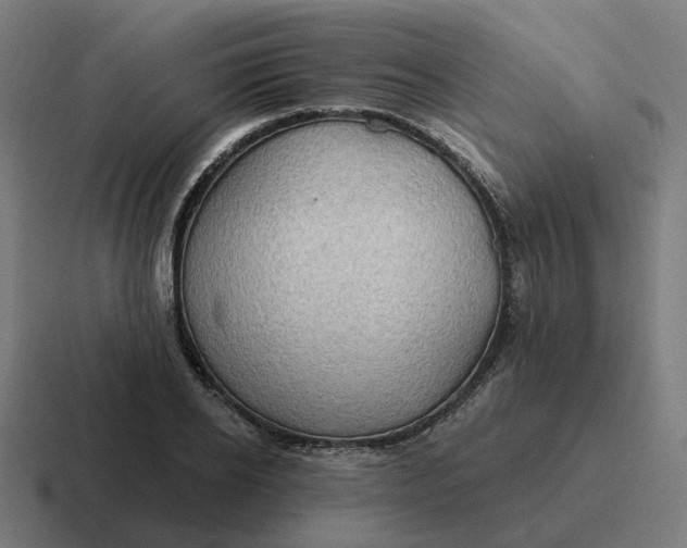 X0000116790934200912311914