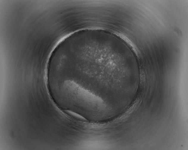 X0000116790935200912311914