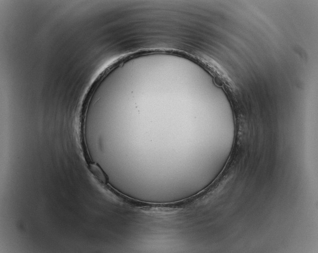 X0000116790942200912311914