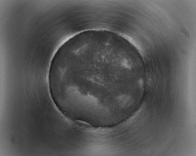 X0000116790943200912311914