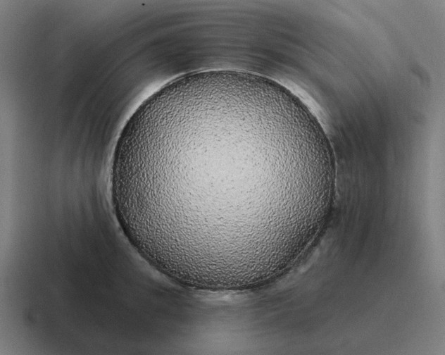 X0000116790949200912311914