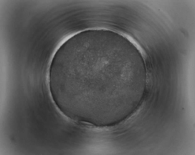 X0000116790951200912311914