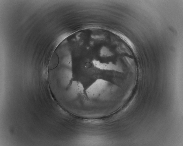 X0000116790953200912311914