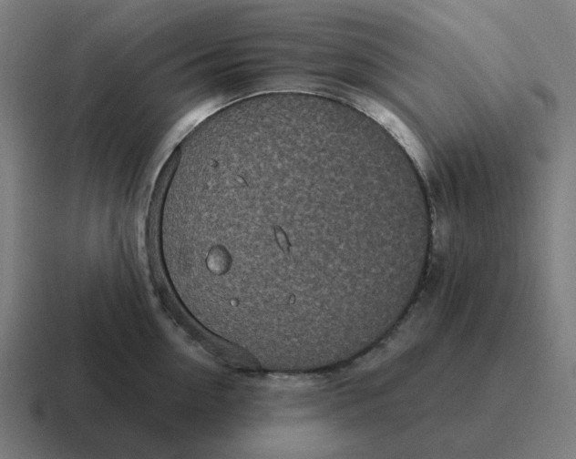 X0000116790954200912311914