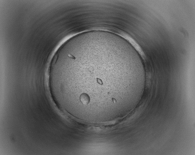 X0000116790955200912311914