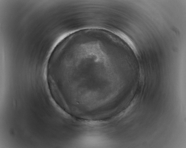 X0000116790958200912311914