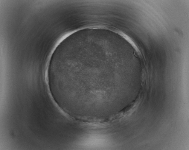 X0000116790959200912311914