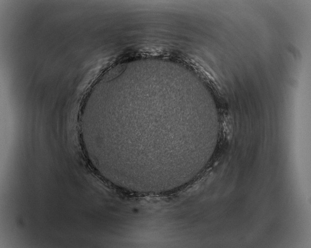 X0000116790961200912311914