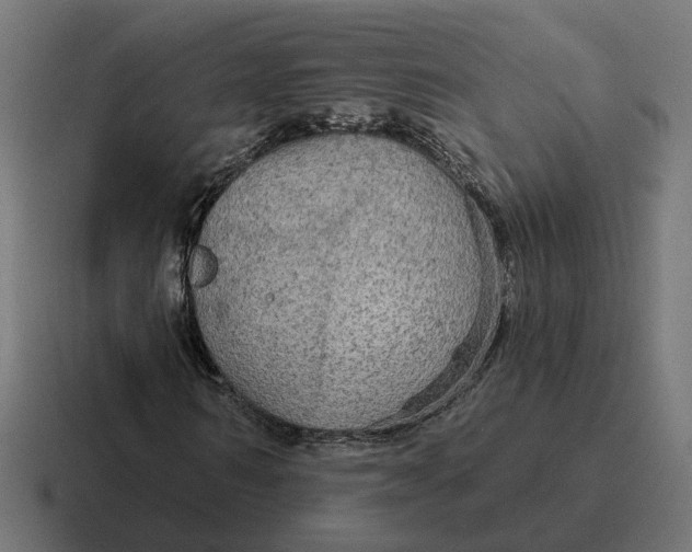 X0000116790962200912311914