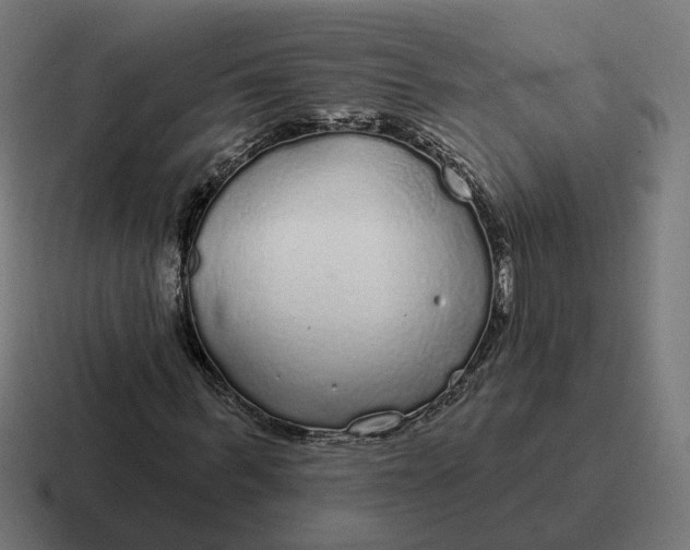 X0000116790963200912311914