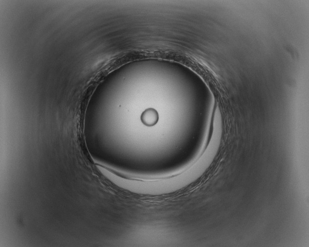 X0000116790965200912311914