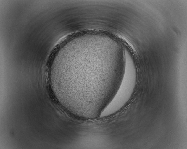 X0000116790968200912311913