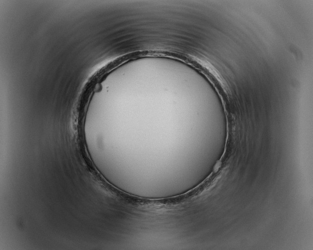 X0000116790971200912311913