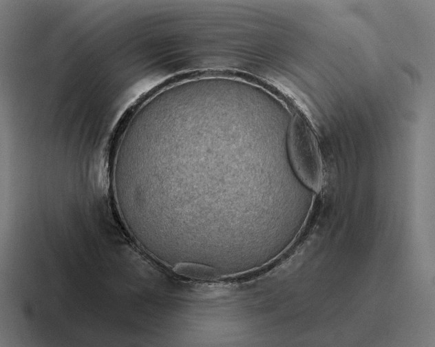 X0000116790973200912311913