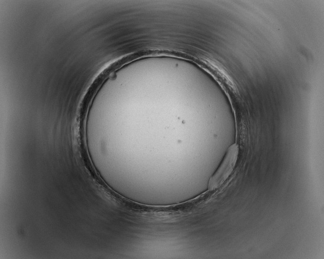 X0000116790976200912311913