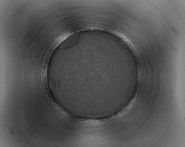 X0000116790977200912311913