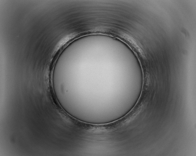 X0000116790978200912311913