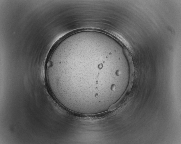 X0000116790980200912311913