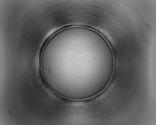 X0000116790982200912311913