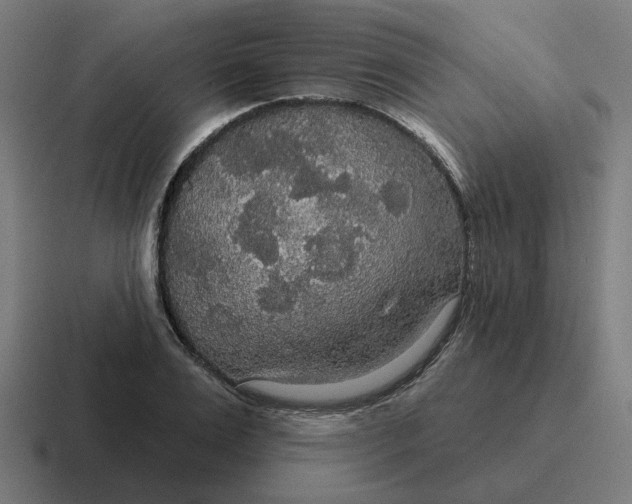 X0000116790983200912311913