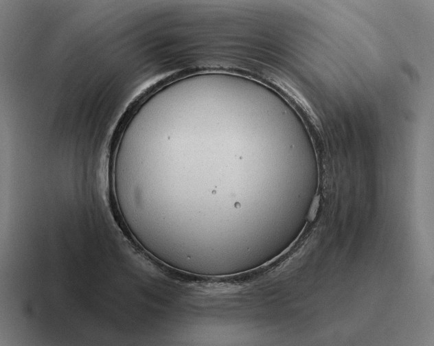 X0000116790984200912311913