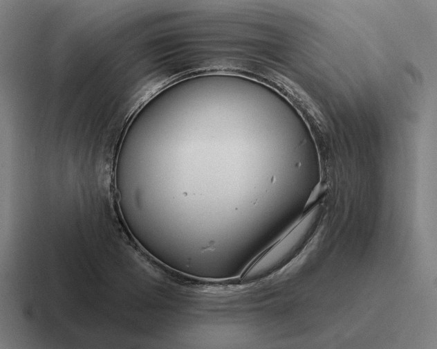 X0000116790985200912311913