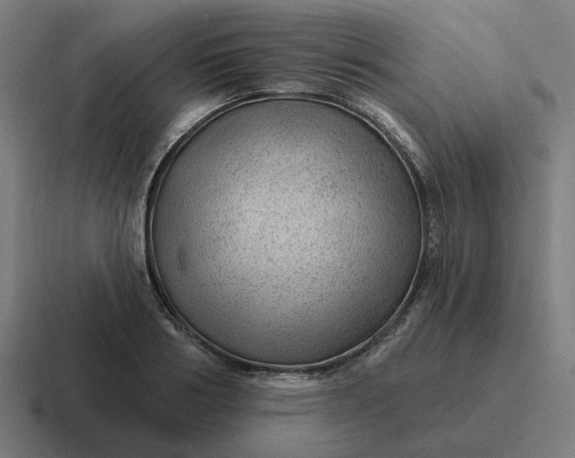 X0000116790986200912311913