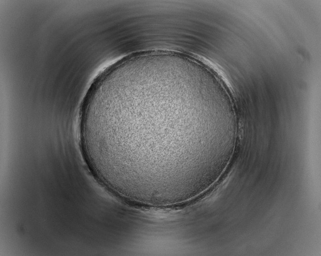 X0000116790987200912311913