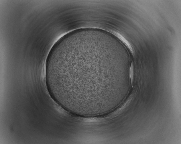 X0000116790988200912311913