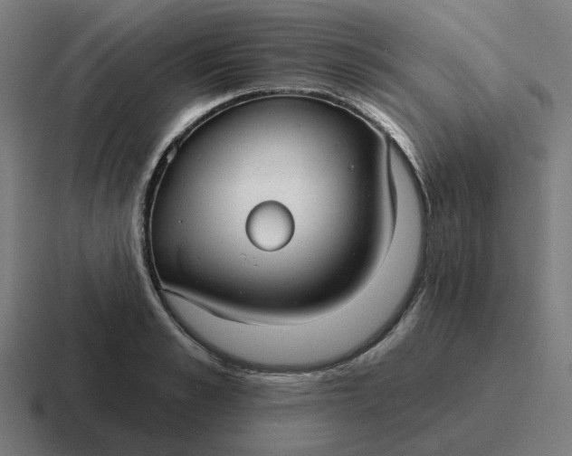 X0000116790989200912311913