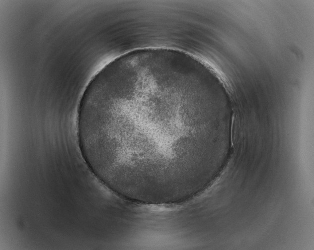 X0000116790990200912311913