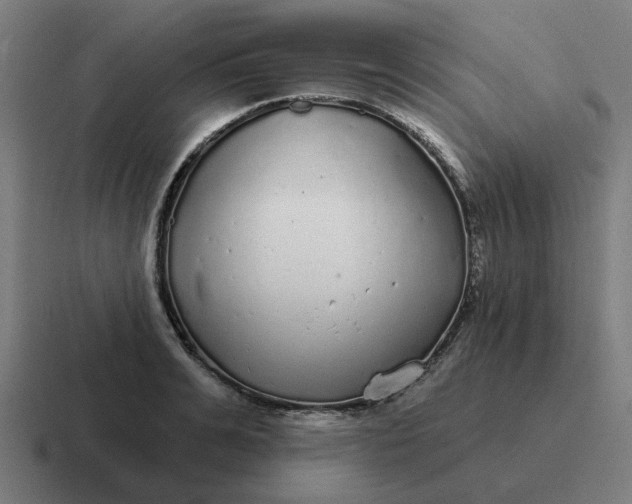 X0000116790991200912311913