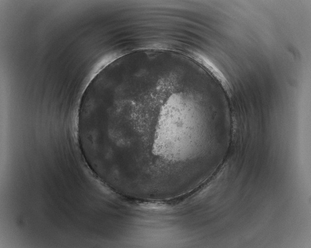 X0000116790994200912311913